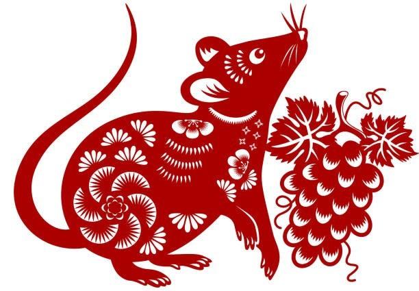 Goi y cach phoi mau hop phong thuy cho nguoi tuoi Than 1980 trong nam Giap Thin 2024